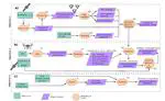 Upscaling Ecosystem Resilience to Climate Change in a Mediterranean Ecosystem of Chile using Remote Sensing