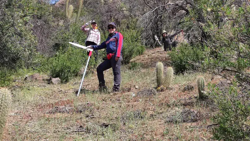 Efecto de la vegetación en la retroalimentación tierra-atmósfera en la zona mediterránea de Chile